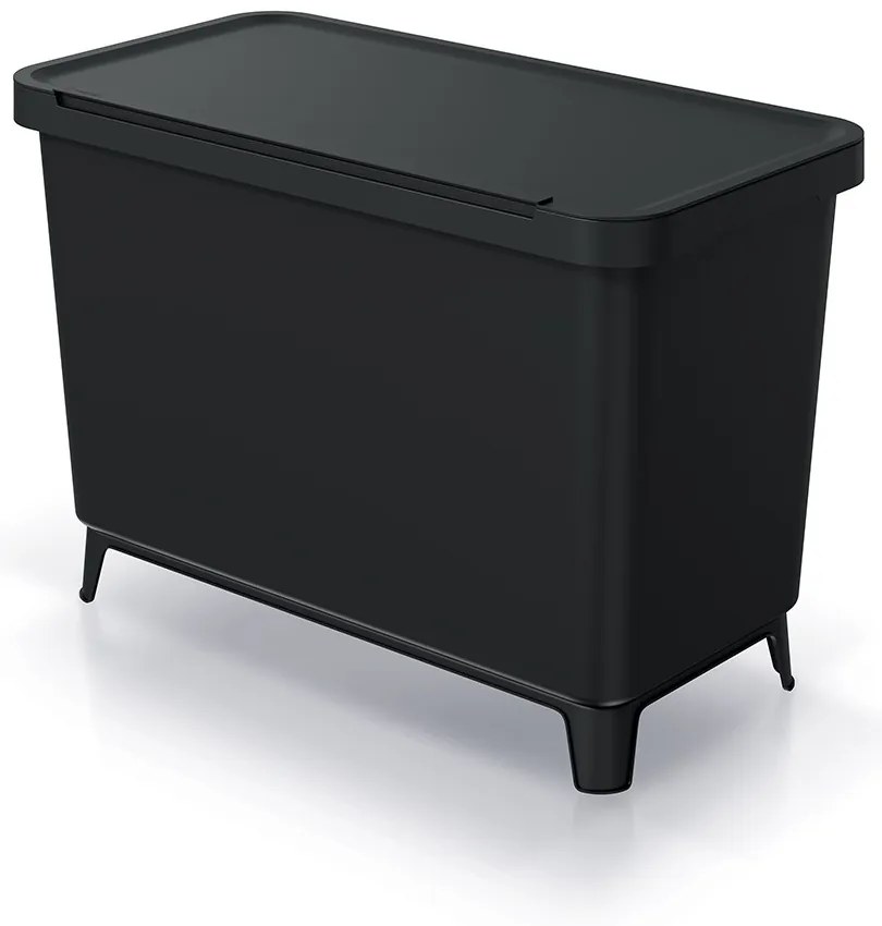 Coș de gunoi, 23 + 10 l, negru