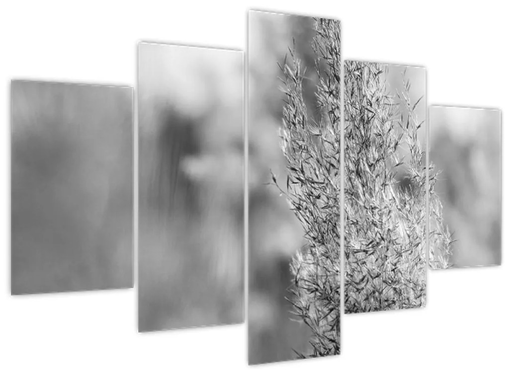 Tablou - Iarbă de pampas Boho (150x105 cm)