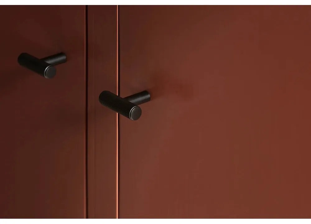 Cârlige argintiu-mat 2 buc. de montat pe perete din metal Rof – Blomus