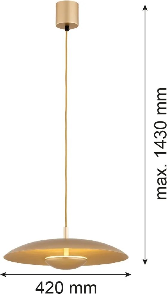 Lustra suspendata LED BOLTON 8869 auriu