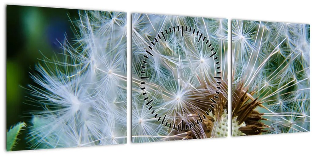 Tabloul cu păpădie desflorit (cu ceas) (90x30 cm)