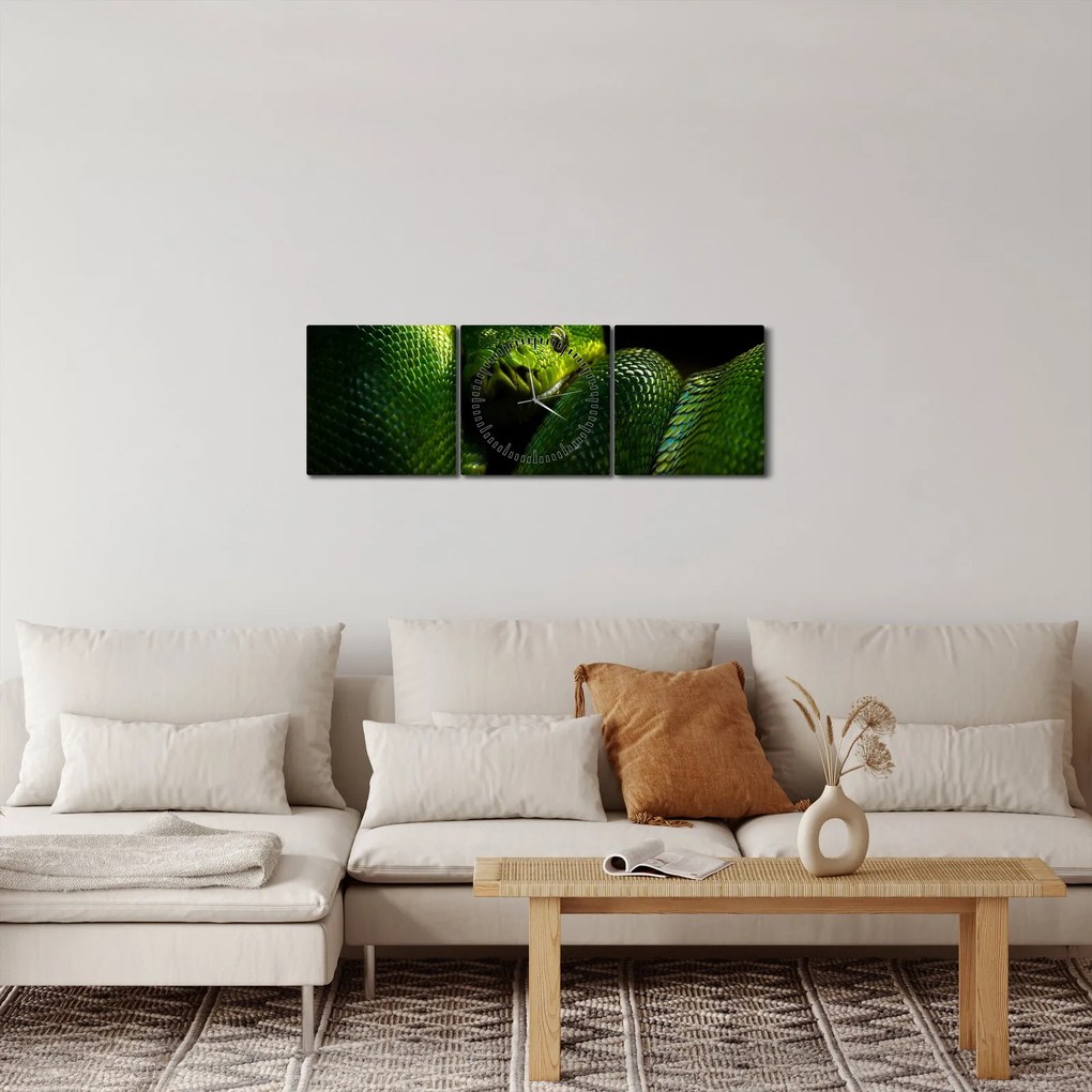 Tablou - Șarpele verde (cu ceas) (90x30 cm)