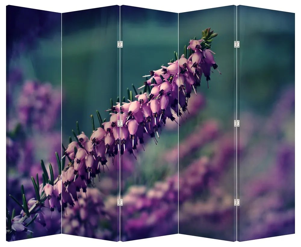 Paravan - Floare violetă (210x170 cm)