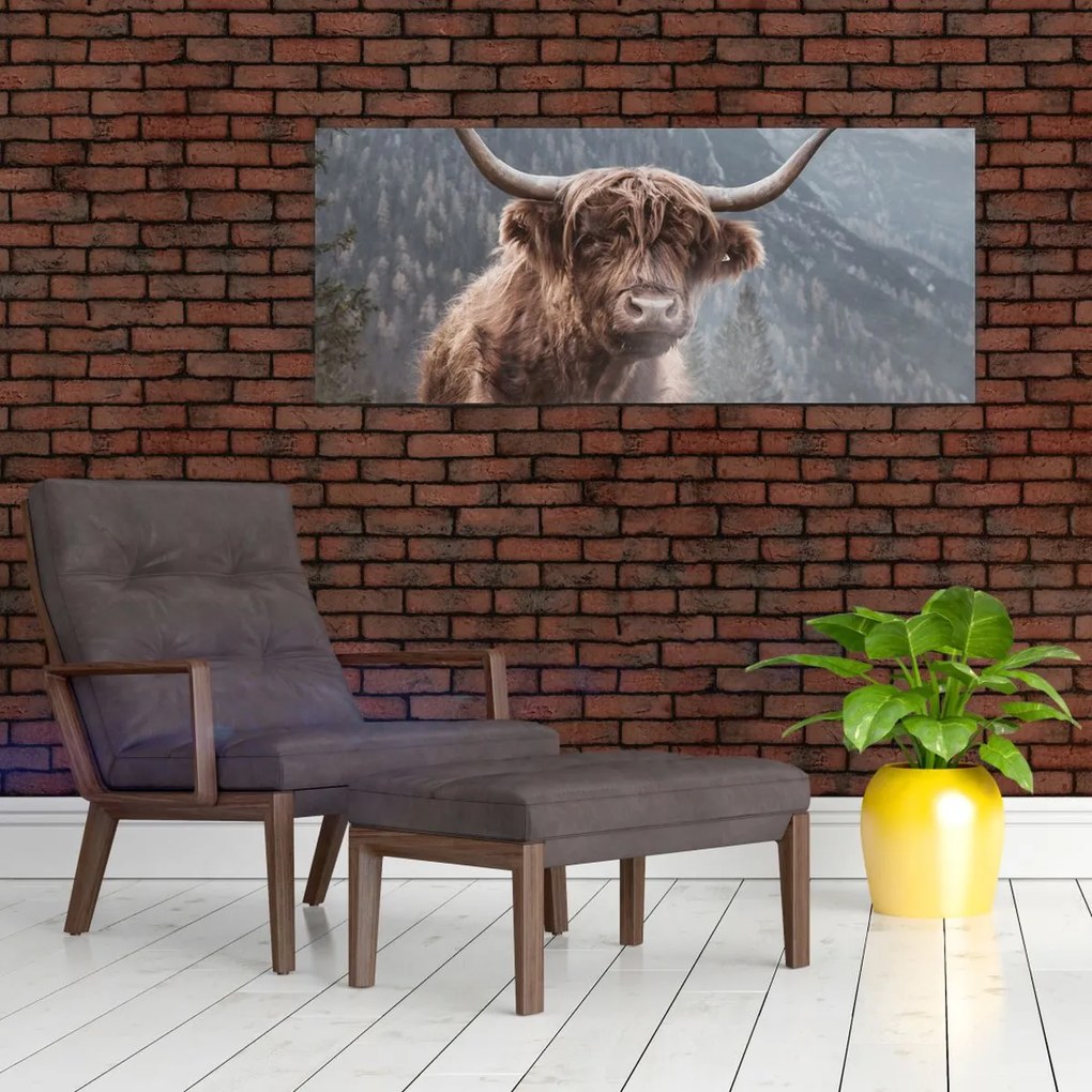 Tablou - Vaca Highlander (120x50 cm)