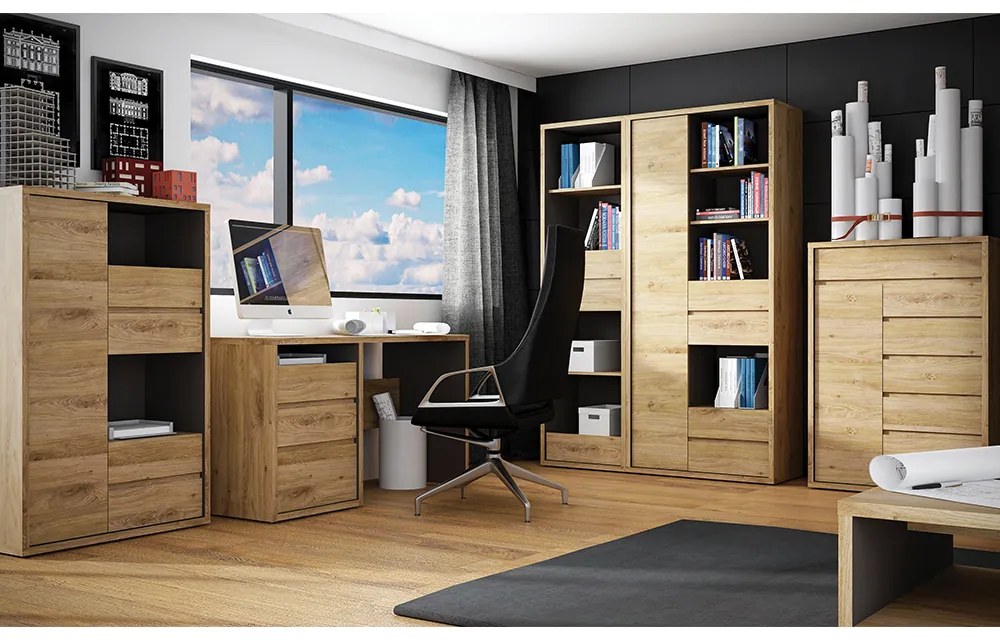 Dulap cu rafturi Sygrin Typ 10 (Stejar shetland). 1034160