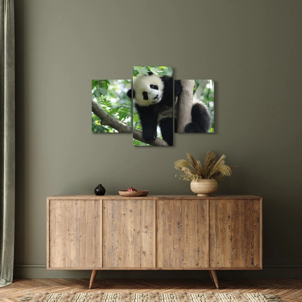 Tablou - Panda in copac (90x60 cm)
