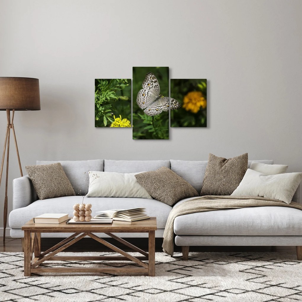 Tablou - fluture alb (90x60 cm)