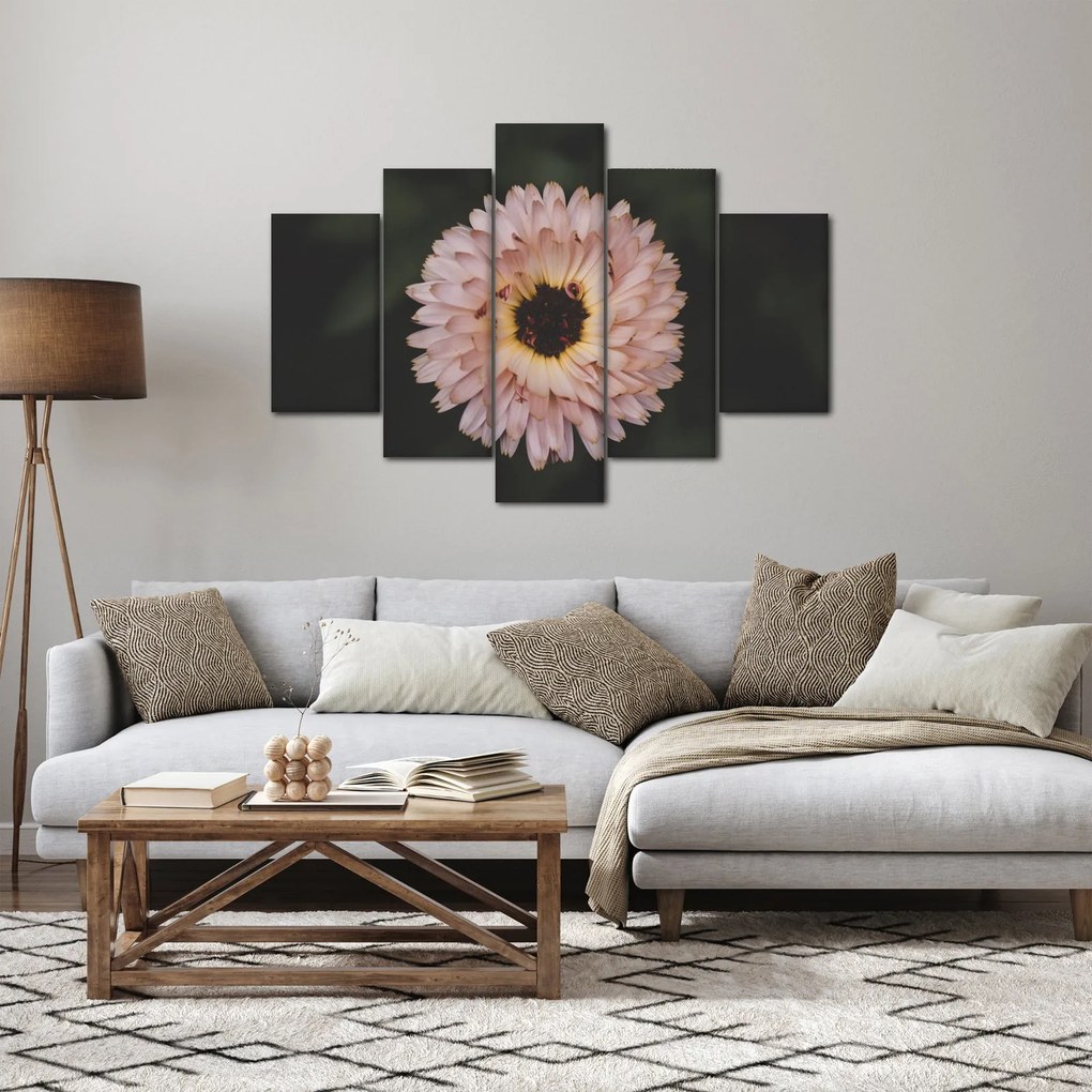 Tablou cu floare portocalie (150x105 cm)