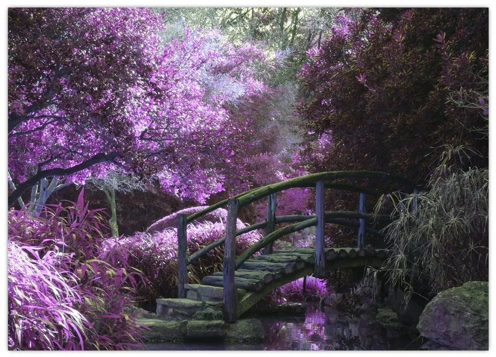 Tablou pe sticlă -cu grădina violetă (70x50 cm)