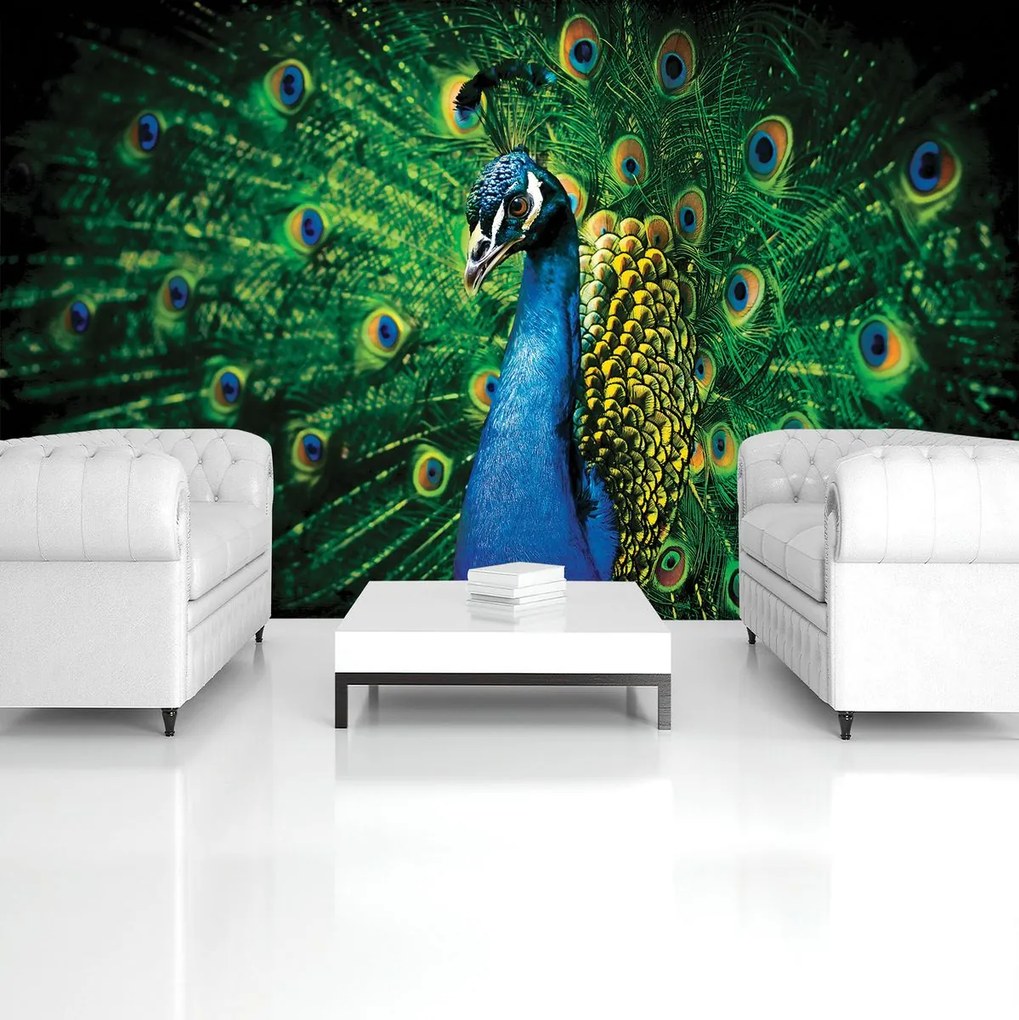 Fototapet - Păun (152,5x104 cm)
