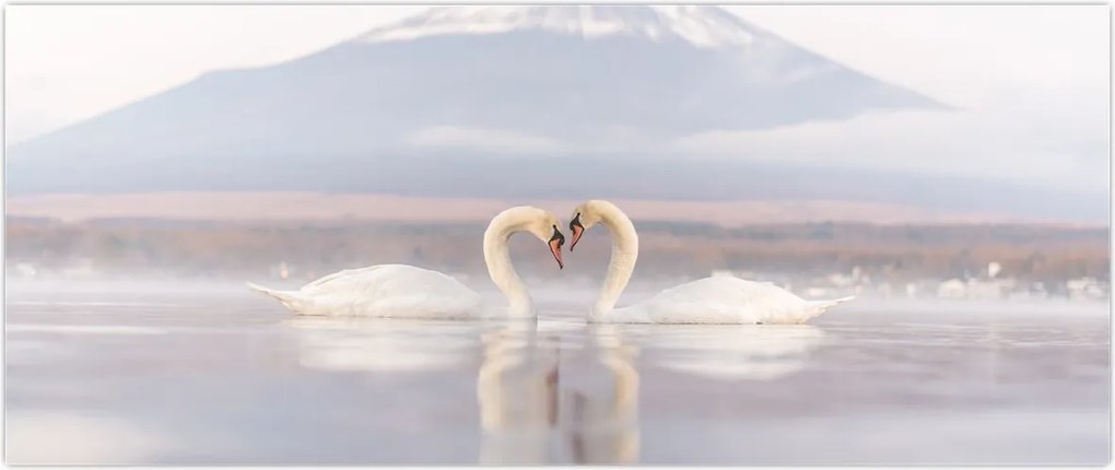 Tablou - Lebede îndrăgostite (120x50 cm)