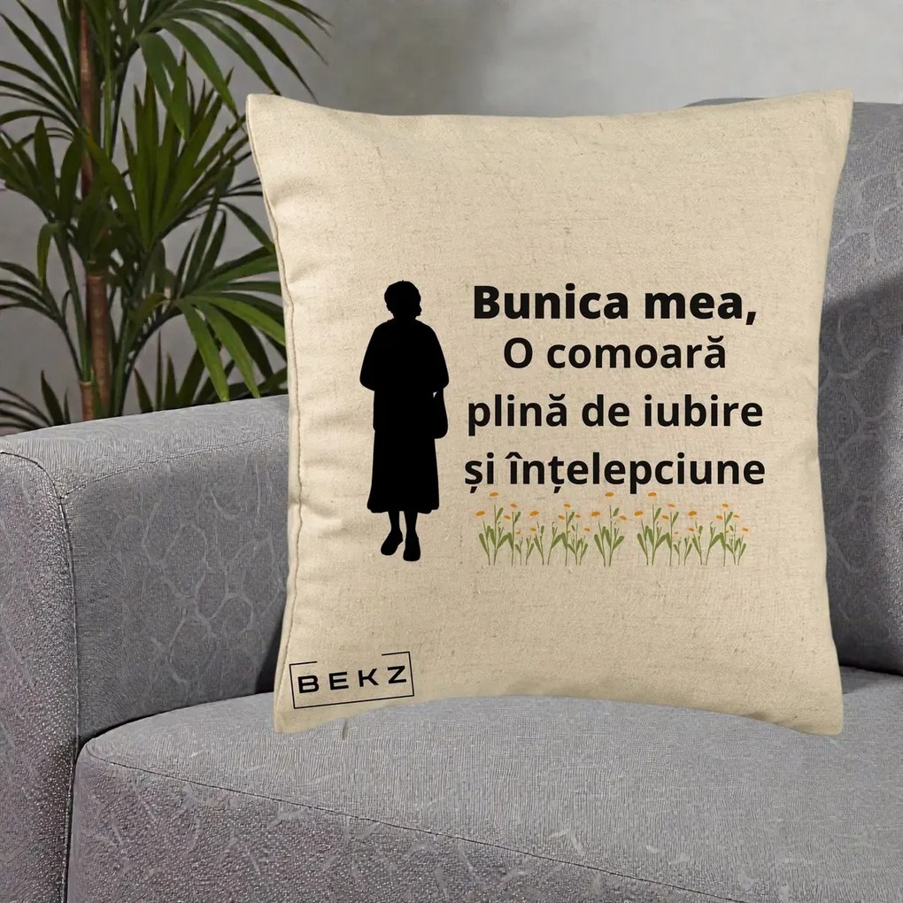 Cadou pentru Bunica - Perna Personalizata Bunica Mea Comoara Iubire Intelepciune Silueta cu Nepoata, 40x40 cm, Bej, Husa Detasabila, Perna Inclusa, BEKZ®