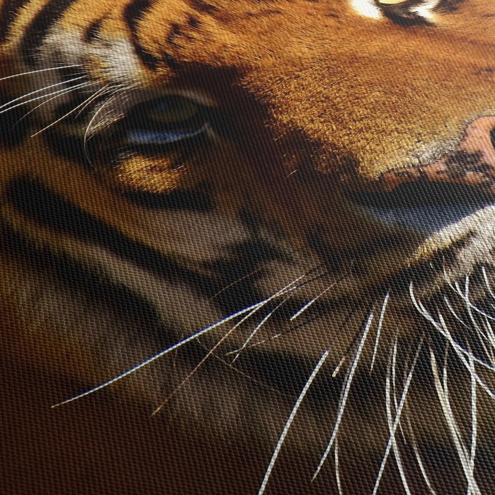 Tablou cu tigrul (120x50 cm)
