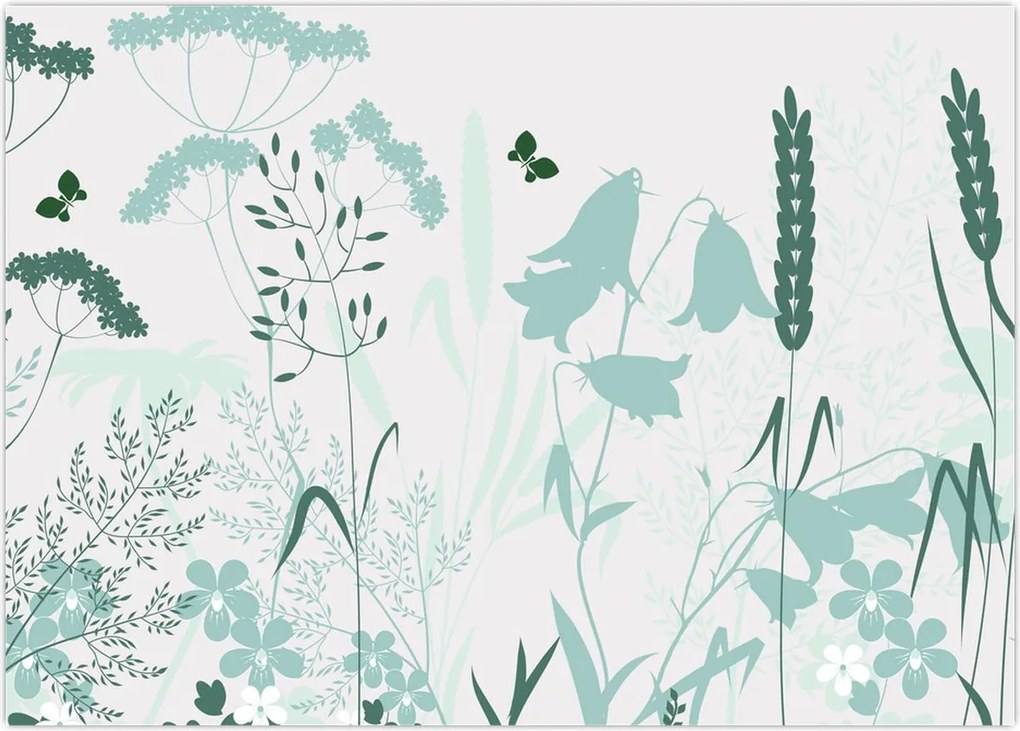 Tablou pe sticlă - Vector pajiște (70x50 cm)