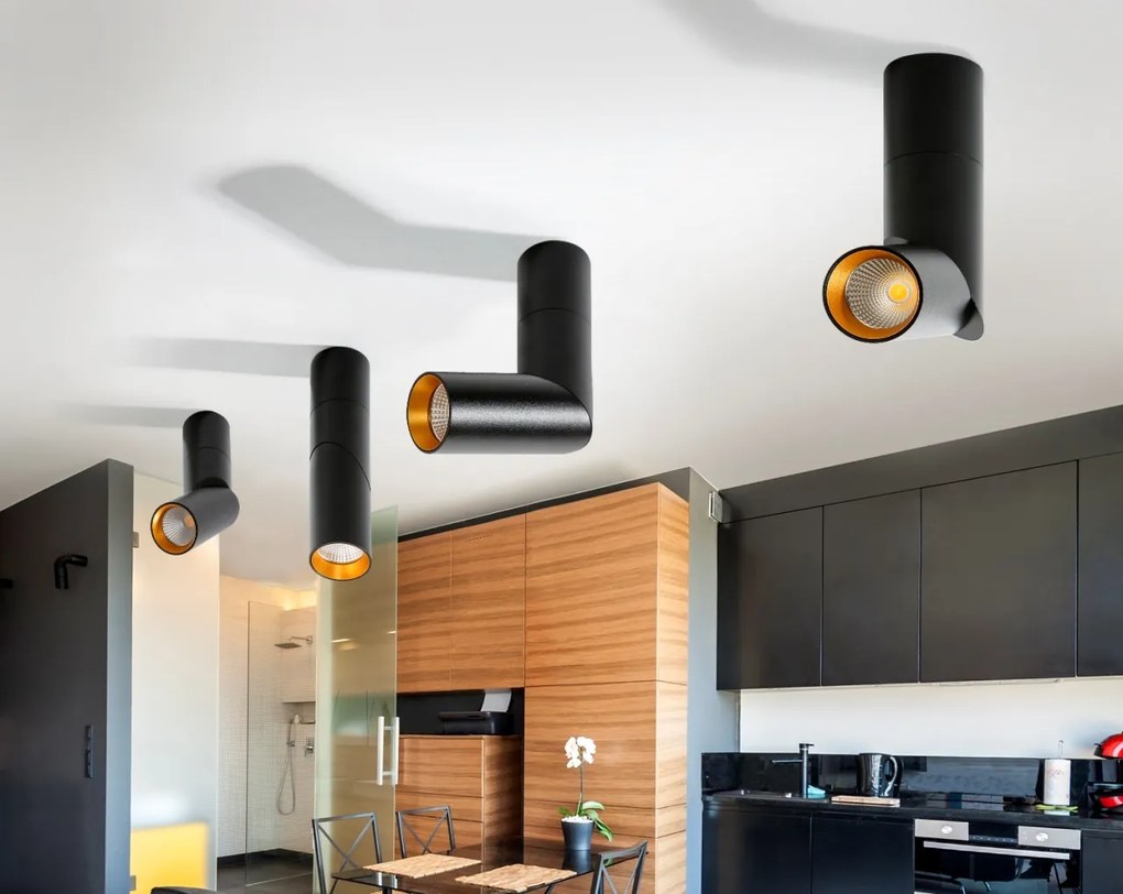 Spot LED modern directionabil aplicat tavan/plafon Santos alb