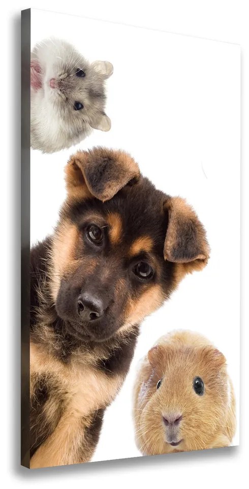 Pictură pe pânză Animale de companie