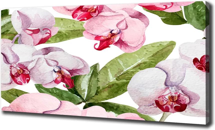 Imprimare tablou canvas Orhidee roz