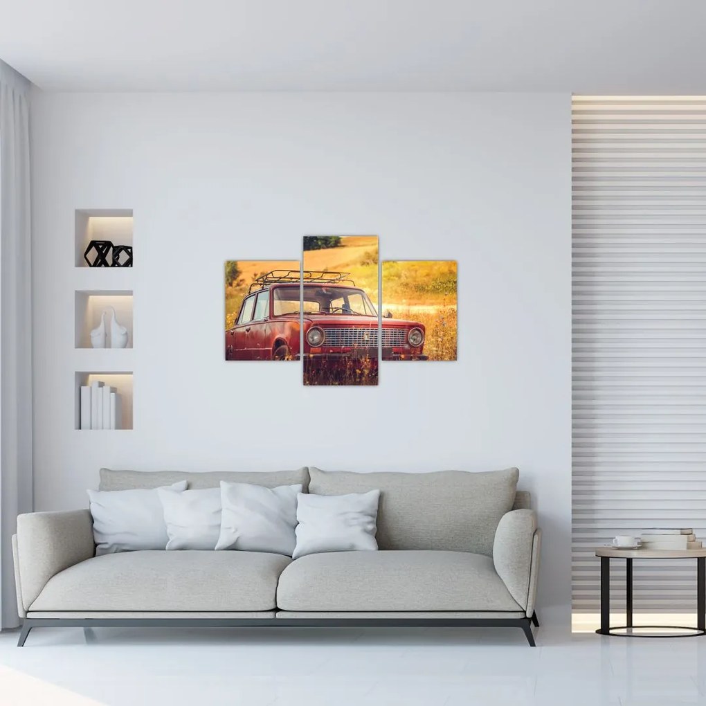 Tablou cu mașină în câmp (90x60 cm)
