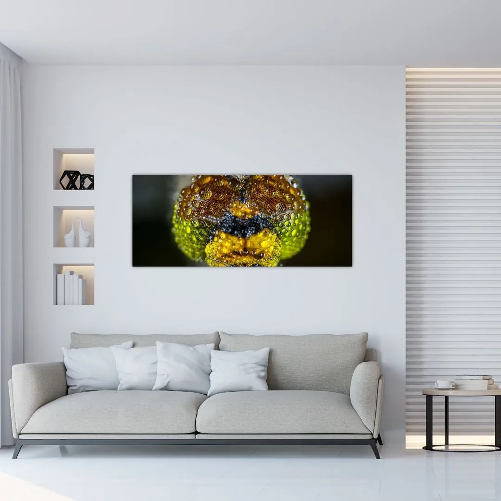 Tablou detailat cu ochii de omidă (120x50 cm)