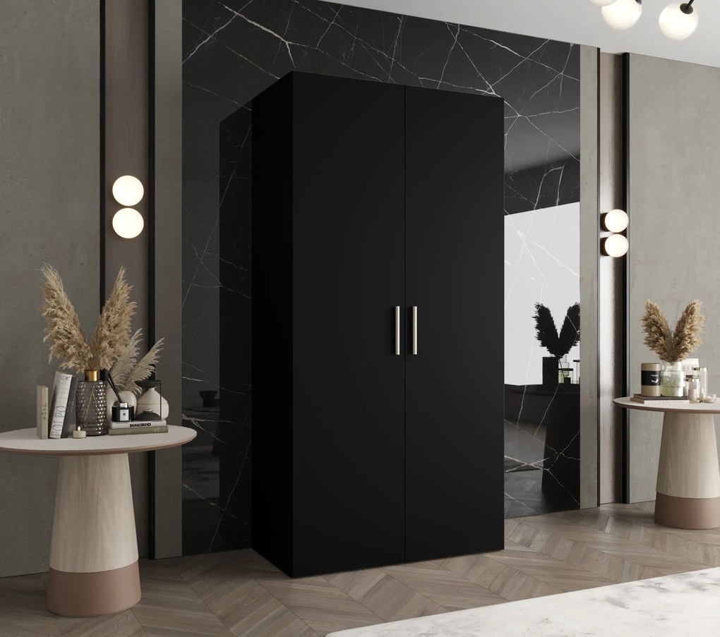 Dulap de haine 100 cm Borry 1 (Negru + Argintiu). 1125751