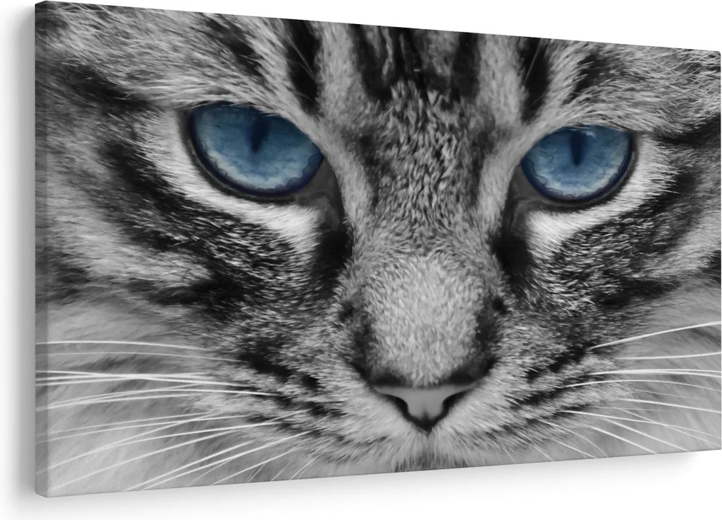 Tablou cu pisica (90x60 cm)