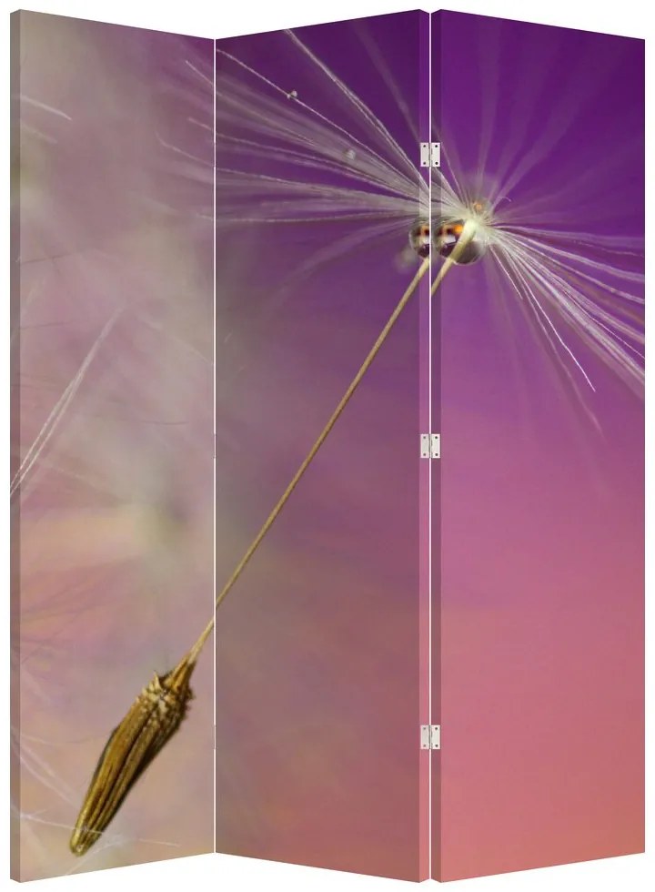 Paravan - Floarea norocul (126x170 cm)