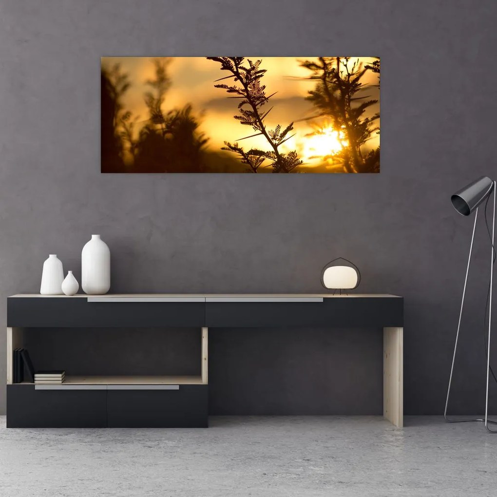 Tablou - Apus de soare (120x50 cm)