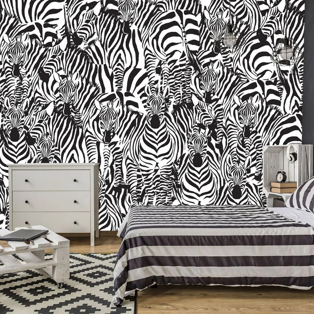 Fototapet - Zebra (254x184 cm)