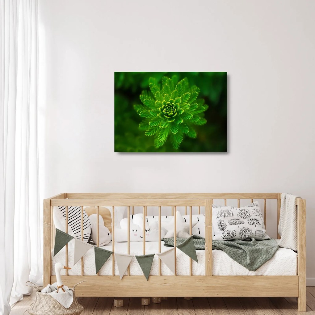 Tablou pe sticlă cu coniferi (70x50 cm)