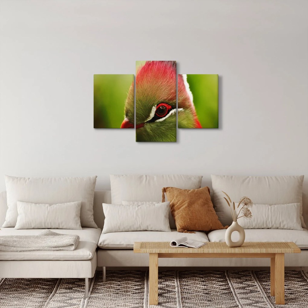 Tablou cu pasărea colorată (90x60 cm)