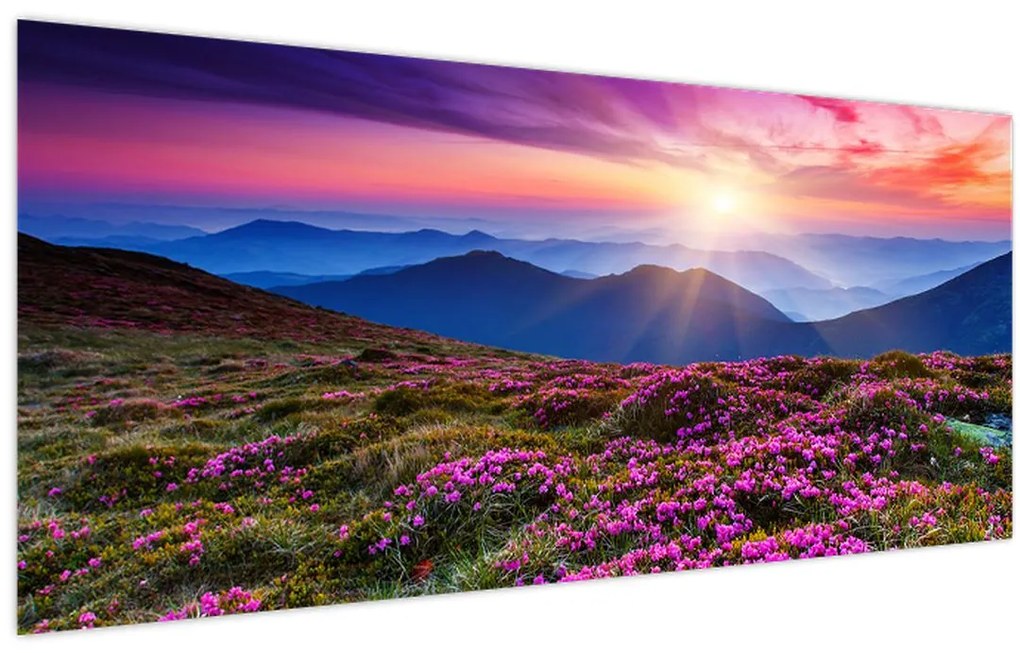 Tablou - Munte înflorit peisaj (120x50 cm)