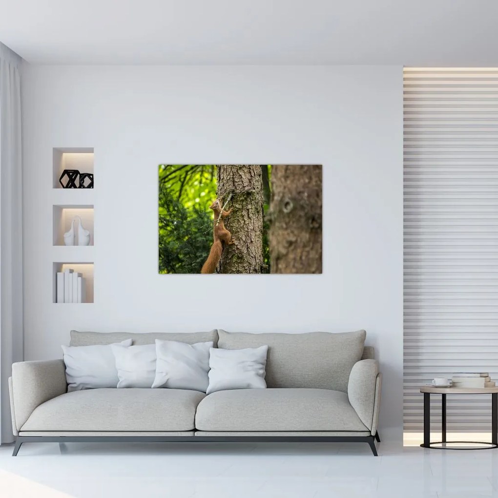 Tablou - Veverița (90x60 cm)
