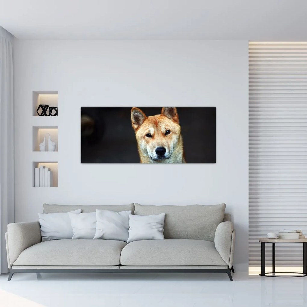 Tablou cu câine (120x50 cm)