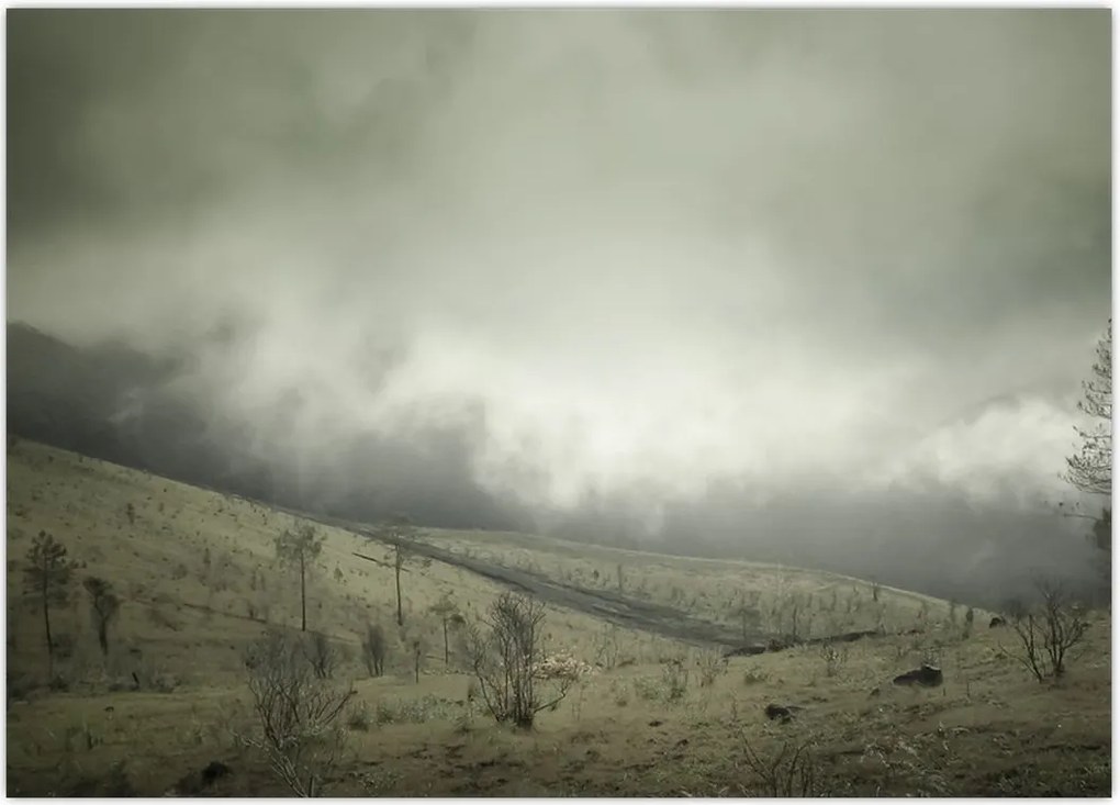 Tablou - Peisaj înainte de furtună (70x50 cm)
