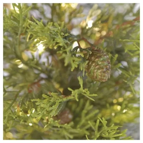 Decorațiune de Crăciun LED 30xLED/3xAA IP44