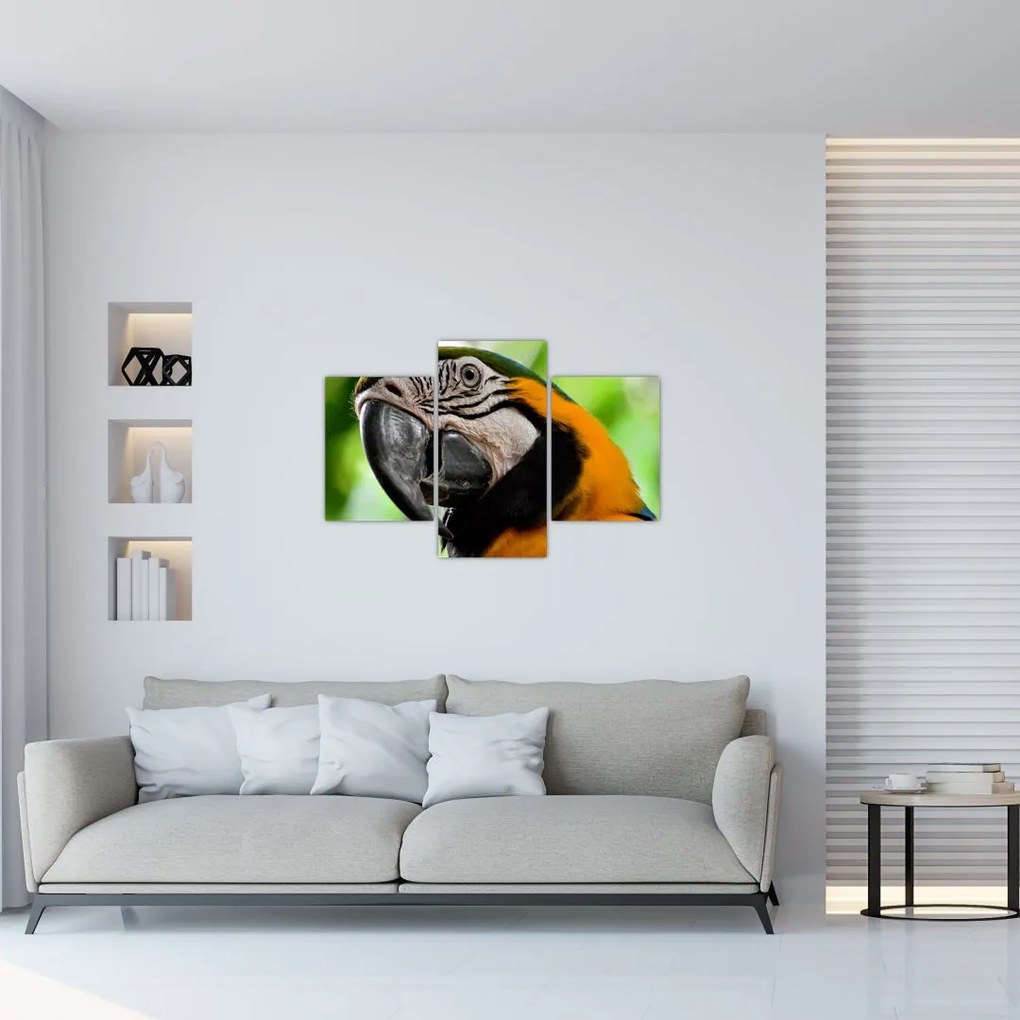 Tablou cu papagal (90x60 cm)