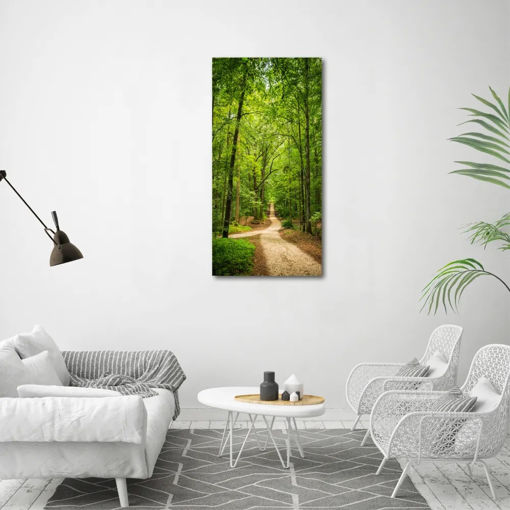 Fotografie imprimată pe sticlă Calea în pădure
