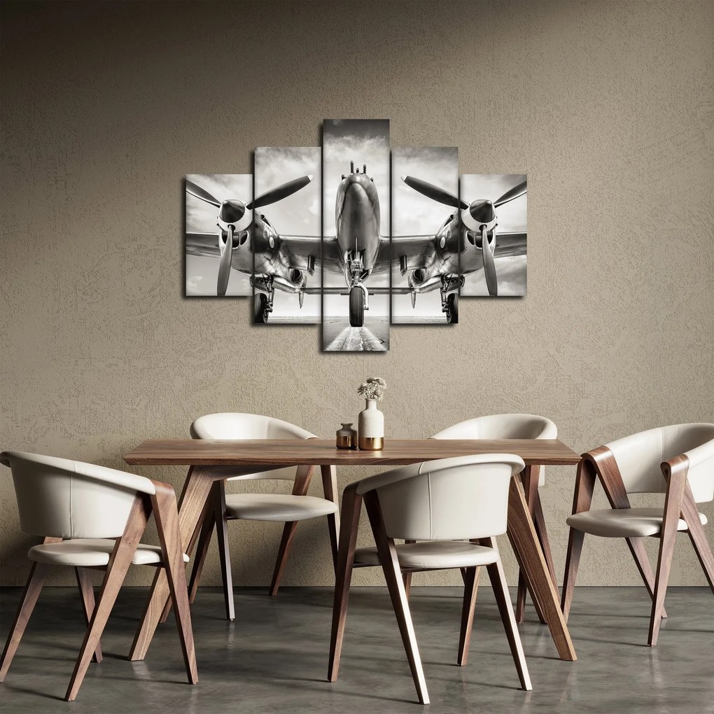 Tablou - Warbird (150x105 cm)
