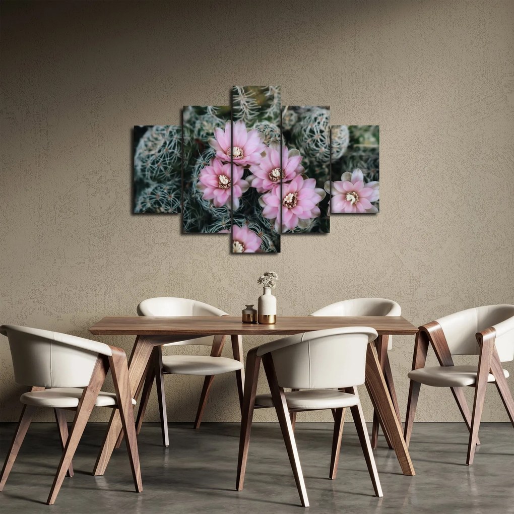 Tablou floare de cactus (150x105 cm)