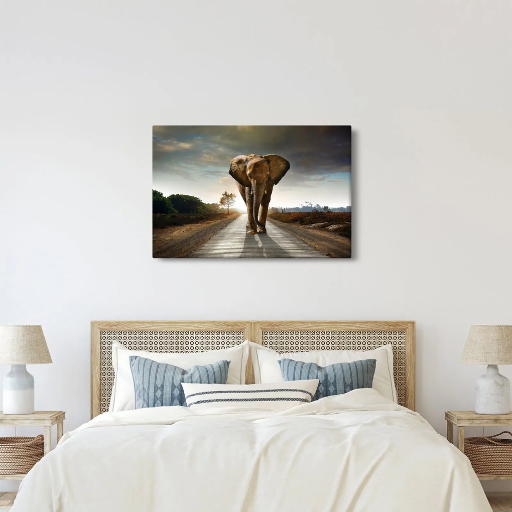 Tablou cu elefant (90x60 cm)