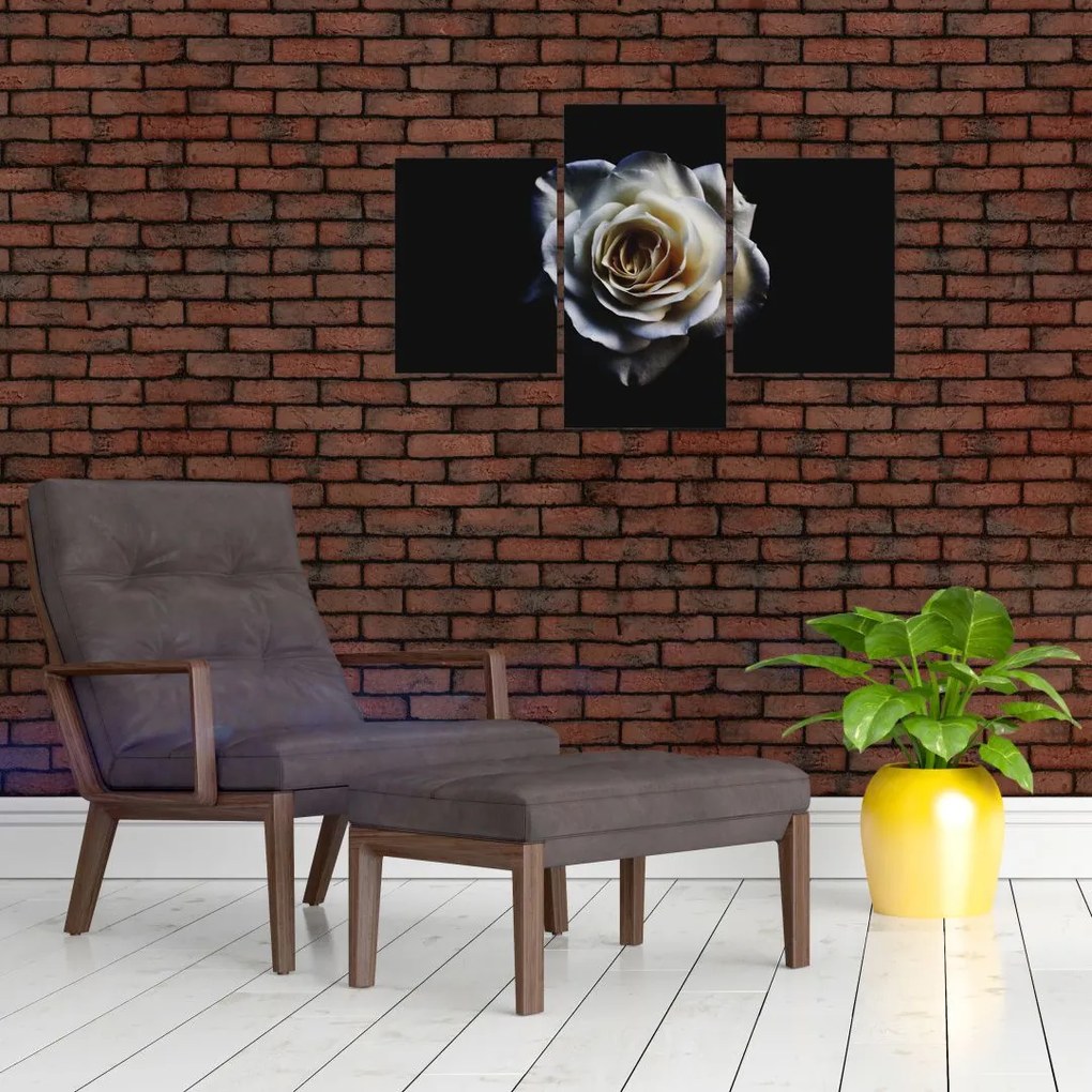 Tablou cu trandafir alb (90x60 cm)