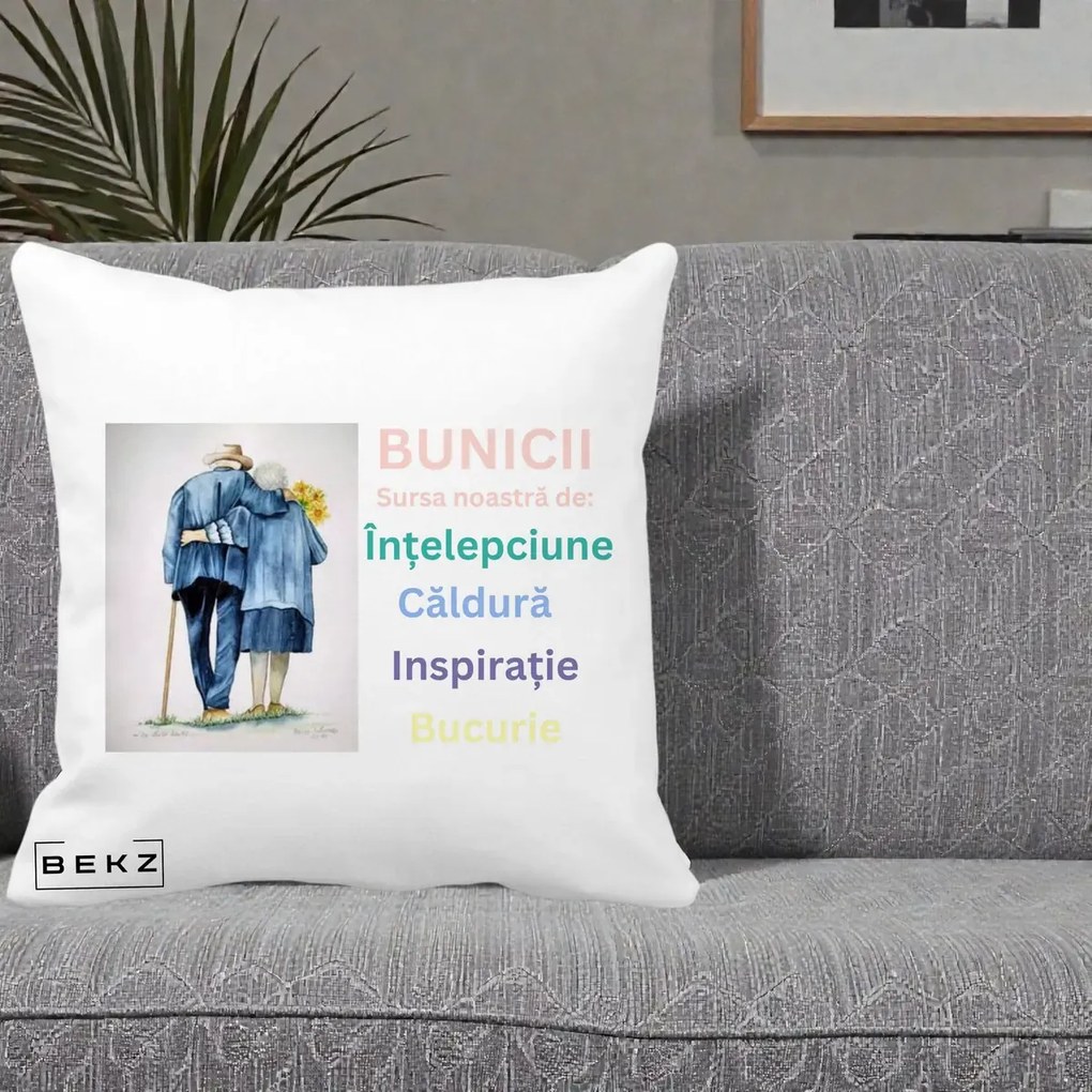 Cadou pentru Bunici - Perna Personalizata Bunicii Sursa Intelepciune Caldura Acuarela, 40x40 cm, Alba Mata, Husa Detasabila, Perna Inclusa, BEKZ®