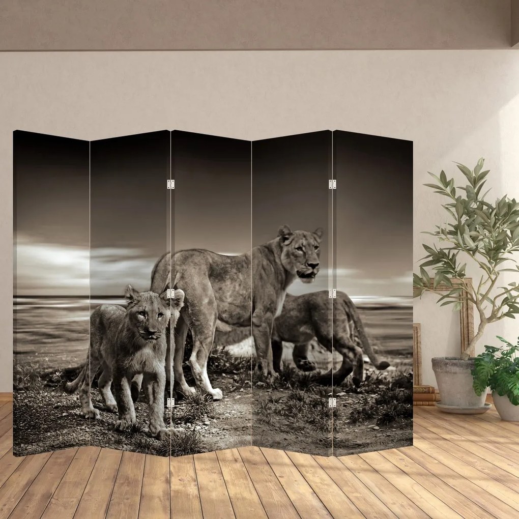 Paravan - Leii alb negri (210x170 cm)