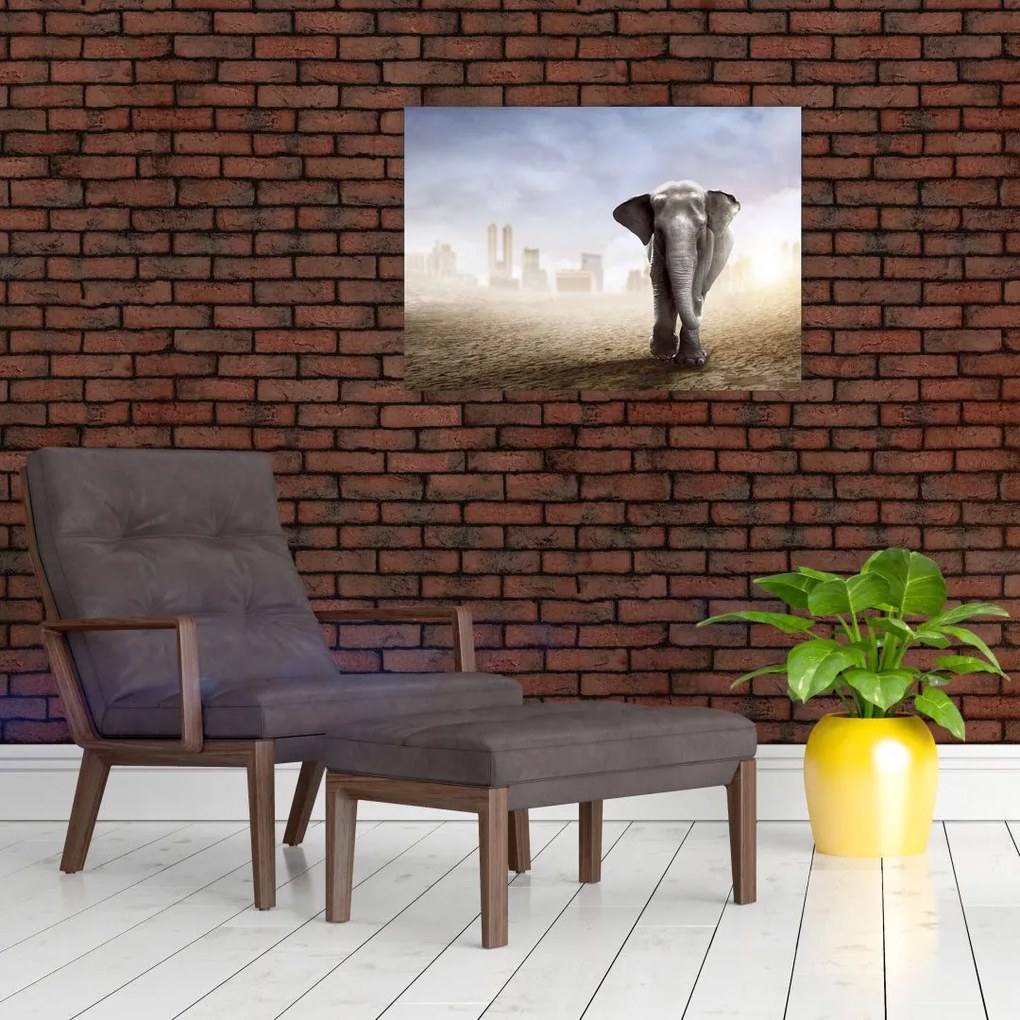 Tablou - Elefanți în oraș (70x50 cm)
