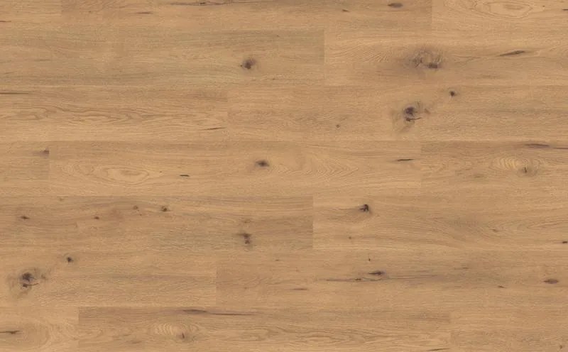 EGGER Parchet laminat, egger, classic, stejar salbatic natur, ac5, 10 mm