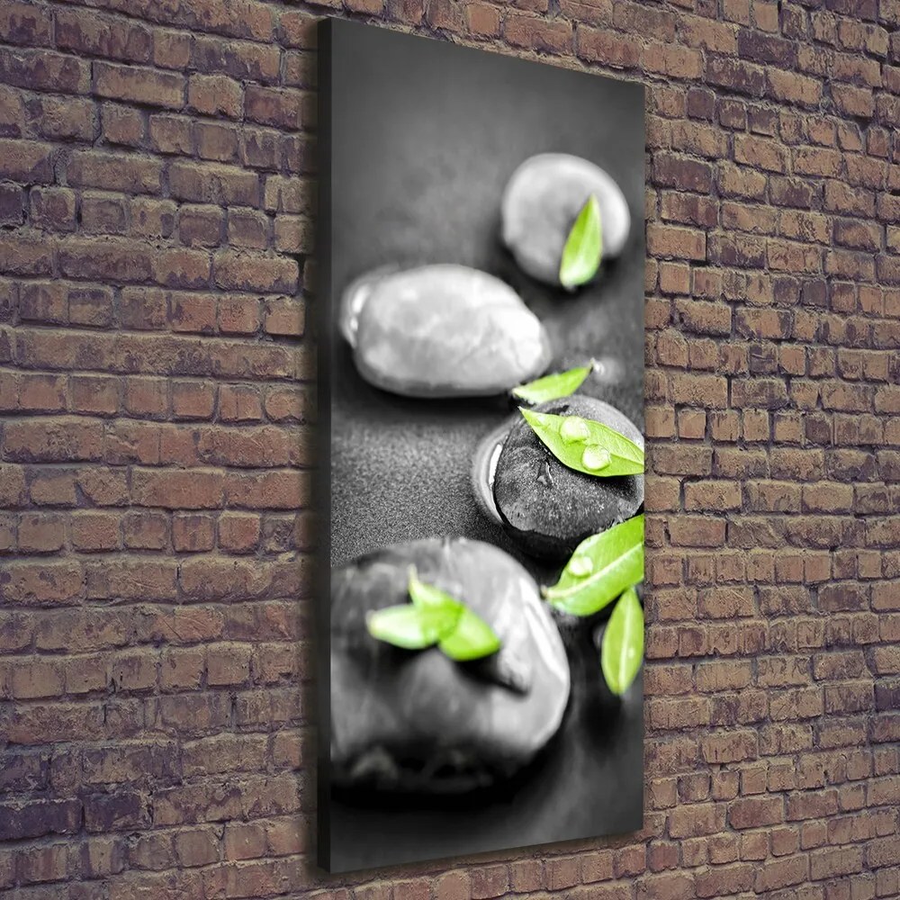 Tablou pe pânză canvas Frunze zen pietre