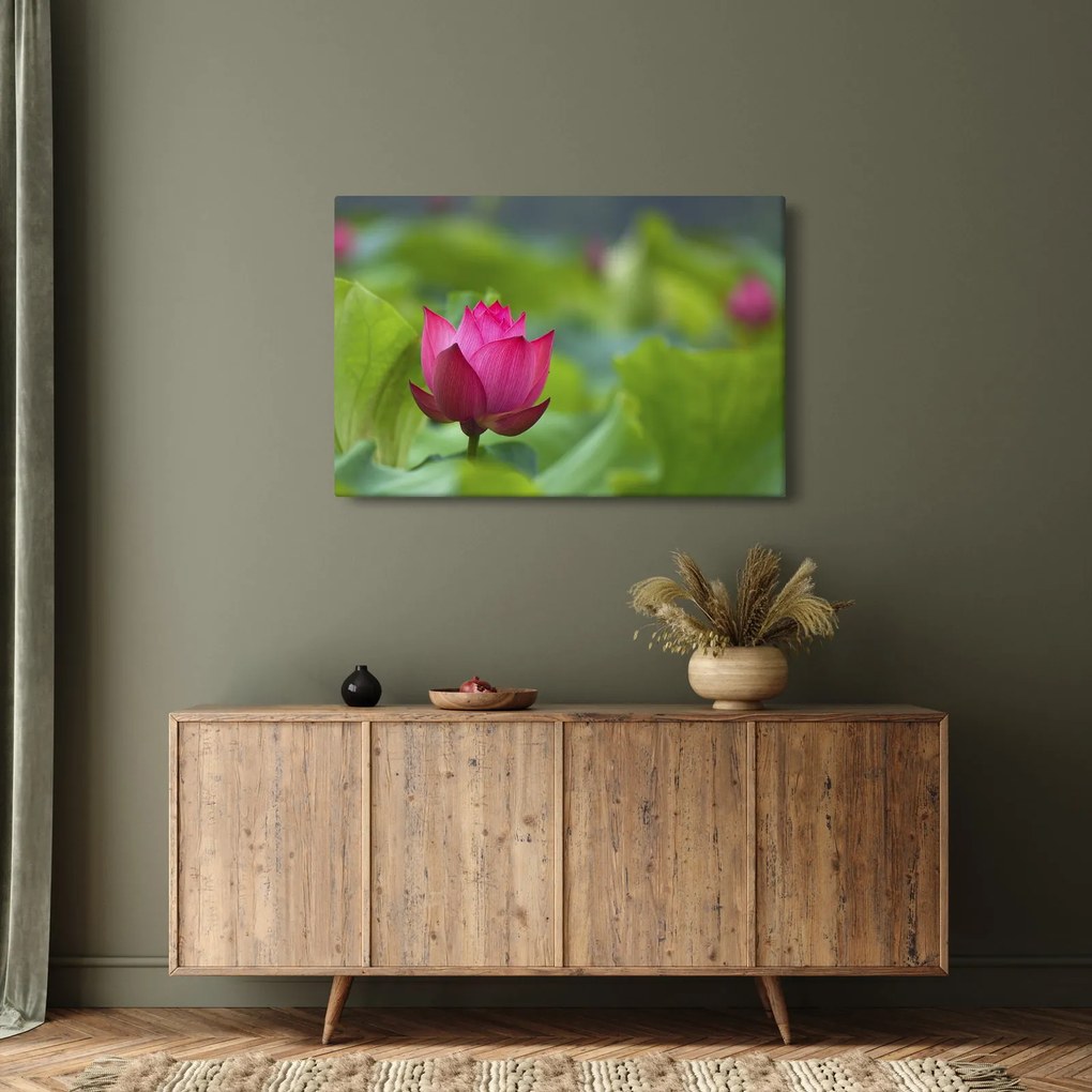 Tablou - floare de apă (90x60 cm)