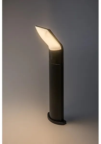 Lampă LED de exterior Rabalux 77173 TOLNA LED/10W/230V IP54