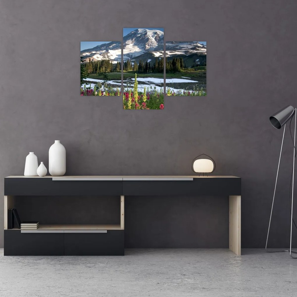 Tablou - Muntele Rainier (90x60 cm)