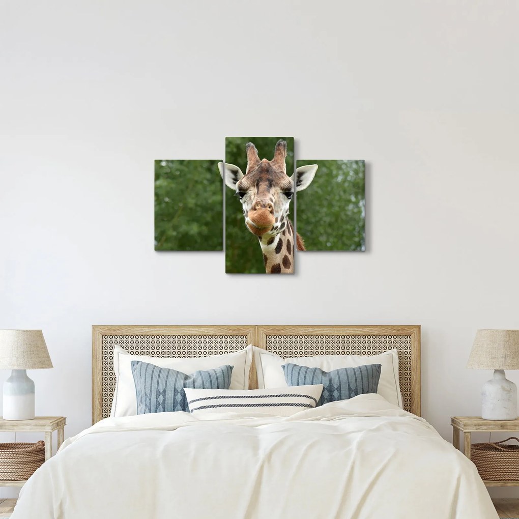Tablou cu girafa (90x60 cm)